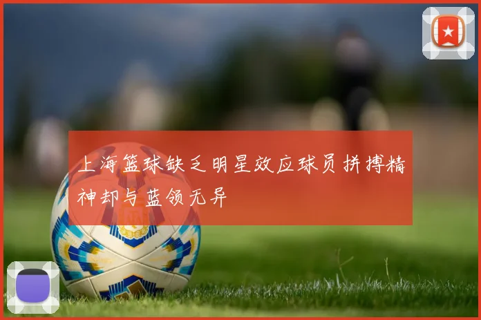 上海篮球缺乏明星效应球员拼搏精神却与蓝领无异