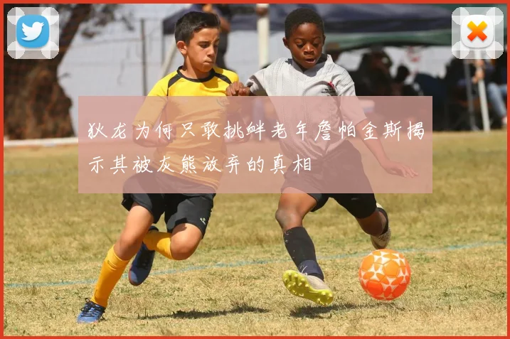 狄龙为何只敢挑衅老年詹帕金斯揭示其被灰熊放弃的真相